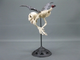 Gusseisen Skelett Skull Vampir Fledermaus 40 cm Kuriosität