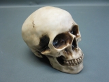 Totenkopf Briefbeschwerer 20 cm
